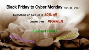 Big Black Friday And Cyber Monday Sale 